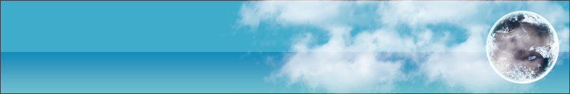 図鑑のココが気になる！！