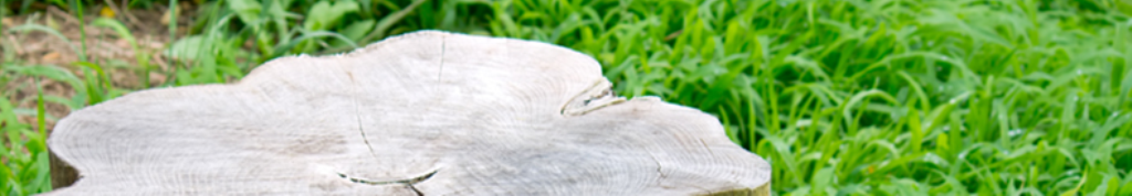 ヨナナスメーカー、大変なんです。