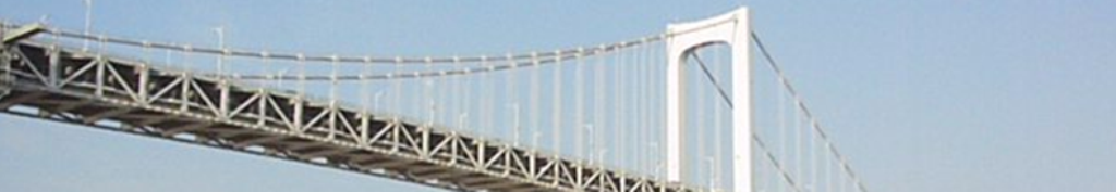 サラダおろしに関する情報